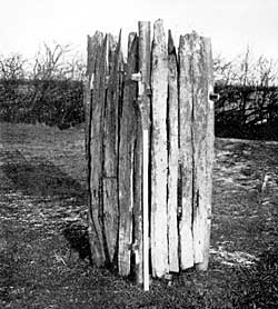 PLATE IV. Oak-lining of Claudian well.