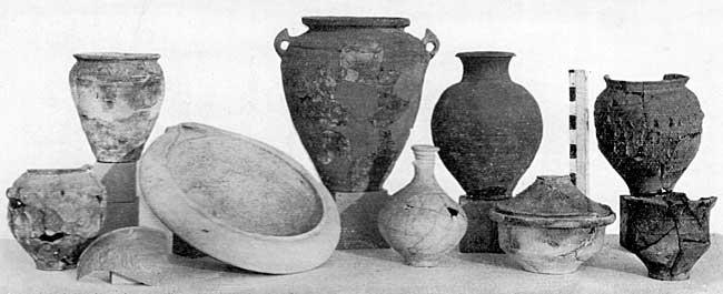 PLATE VIII. Pottery from ditch of Via Quintana.