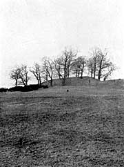 Bothamsall mound.