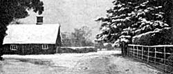 Thatch in Winter. Mrs Morris' cottage.