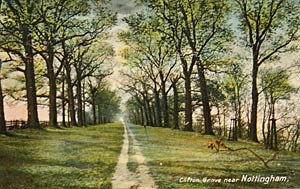 Clifton Grove, c.1910.