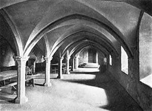 PLATE IX. Undercroft of Frater - Newstead Priory.