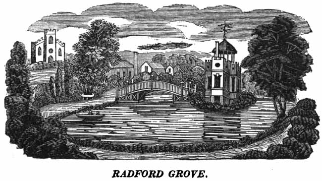 Radford Grove