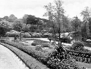 The Arboretum in the early 1930s. 