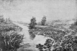 Clipston Meadows.