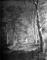 Moonlight at Cockglode. 