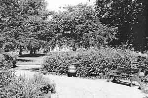 PART OF THE PARK in 2004, showing one of specially designed benches and litter bins.