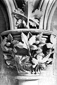 Capital—Chapter House—Southwell